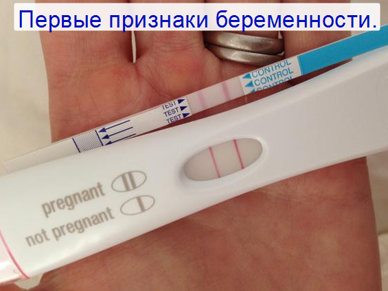 первые признаки беременности на ранних сроках 1 неделя